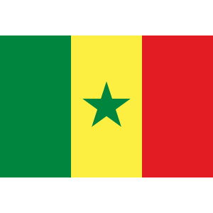 Senegal Soccer Kit