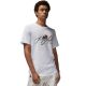 Shop Nike Air Jordan Brand Sorry Graphic Crew T-shirt Mens White at Studio 88 Online