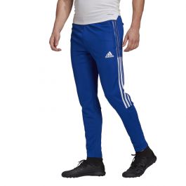 Buy adidas Performance Tiro21 Track Pants Men Royal Blue | Studio 88