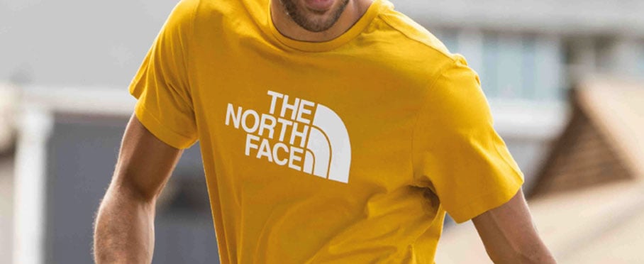 The North Face Banner